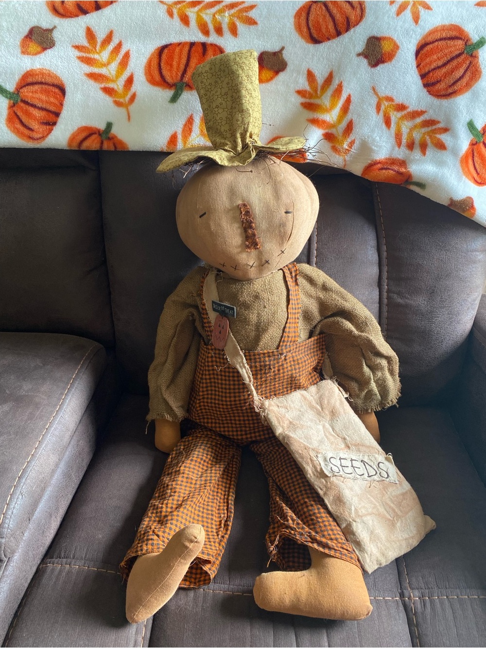 Harvest Pumpkin Scarecrow Orange/Brown